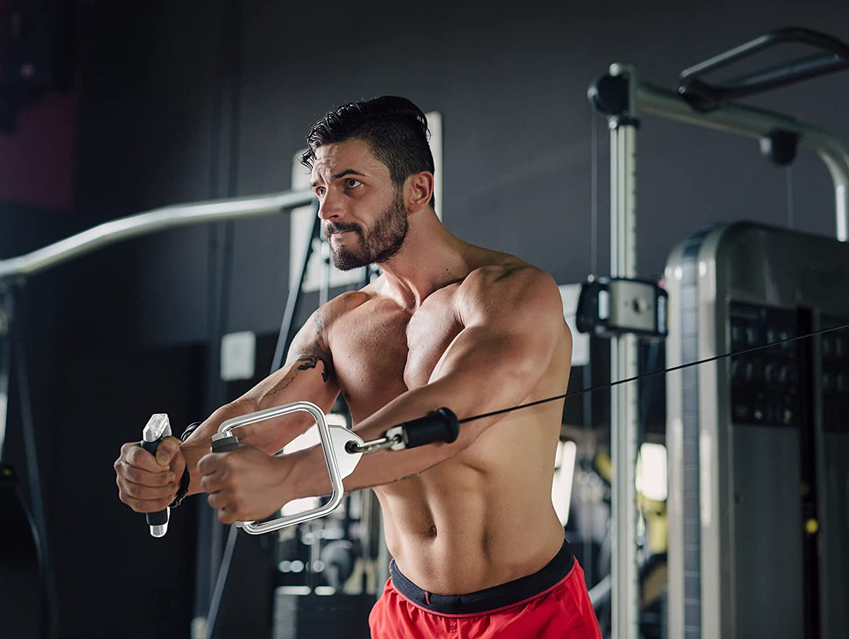 Poignée d'étrier en métal SOLIDE avec poignées en caoutchouc | Poignée D pour machines à câble, multigyms et haltérophilie